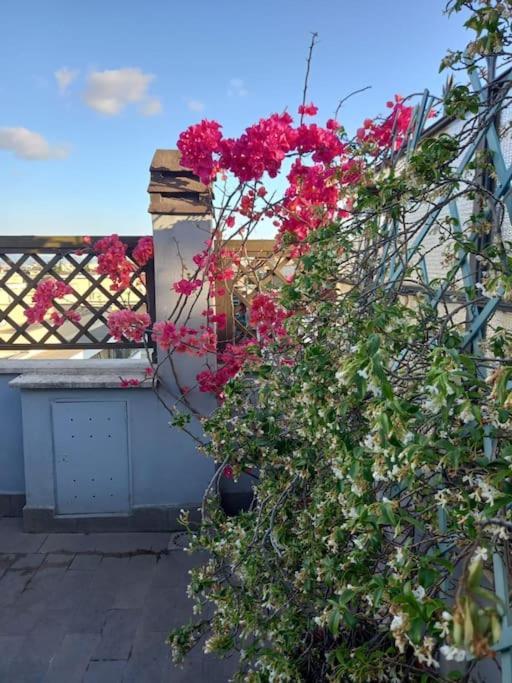 Terrazza Talenti Lägenhet