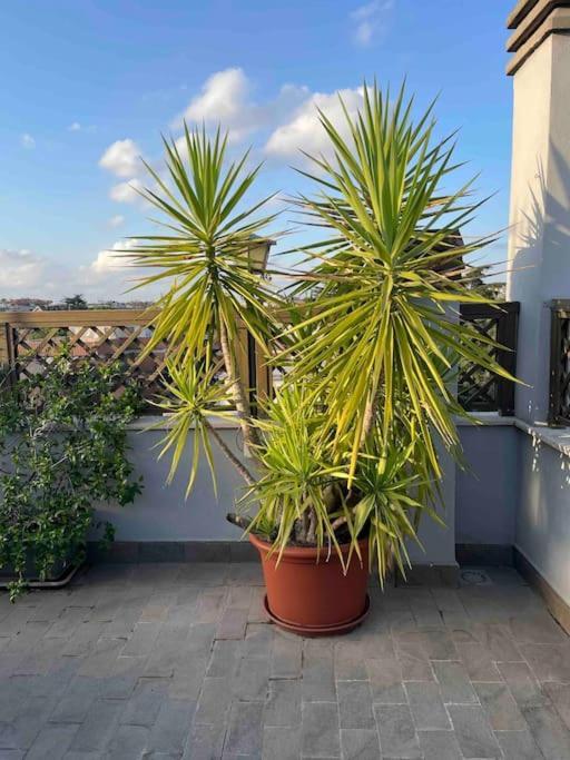 Lägenhet Terrazza Talenti