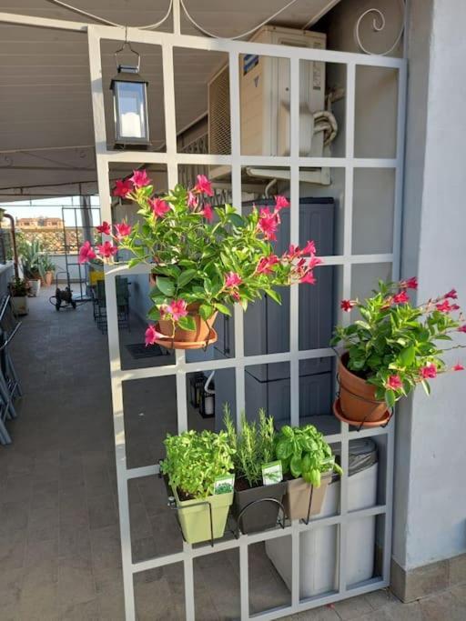 Apartment Terrazza Talenti Rom